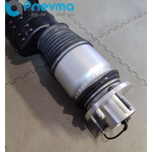 Пневмобаллон передний Taycan (ремонт) 